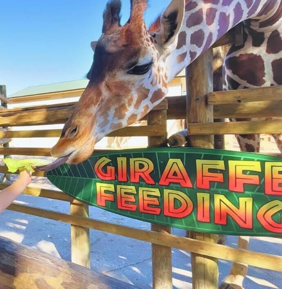 Gulf Breeze Zoo 