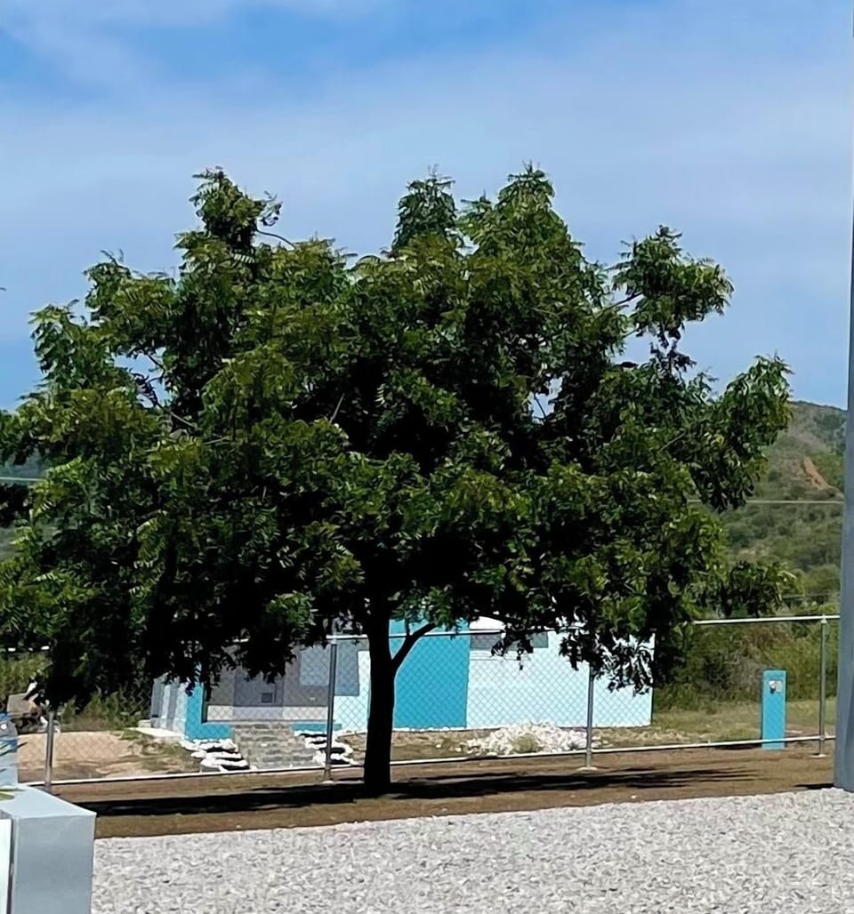 Stunning shade under a tree for the enjoyment with family and friends