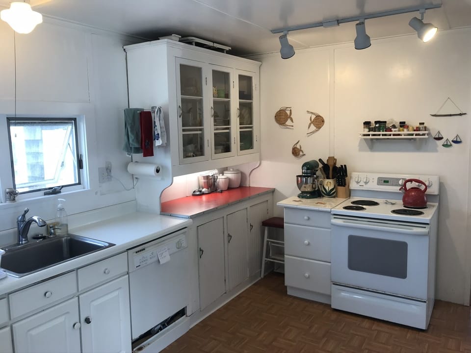 Fully stocked kitchen with new dishwasher