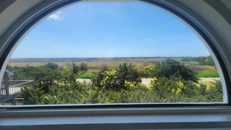 View from Cupola