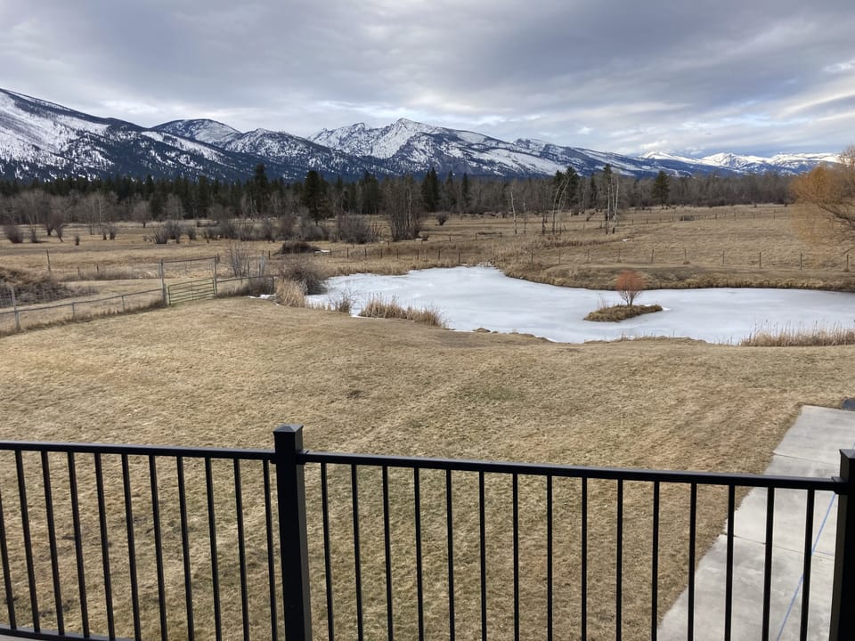 Elk from fun room deck. 