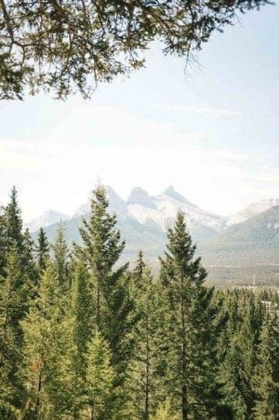 The pristine beauty of the surrounding forests and mountains.