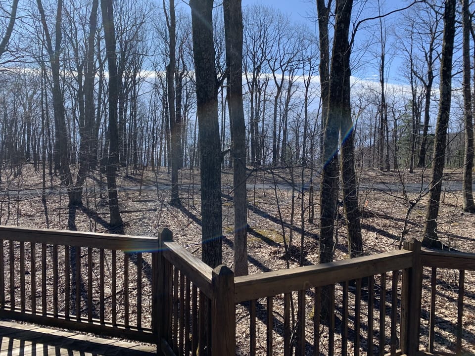 Trail yards from the Blue Ridge Parkway and Appalachian trail