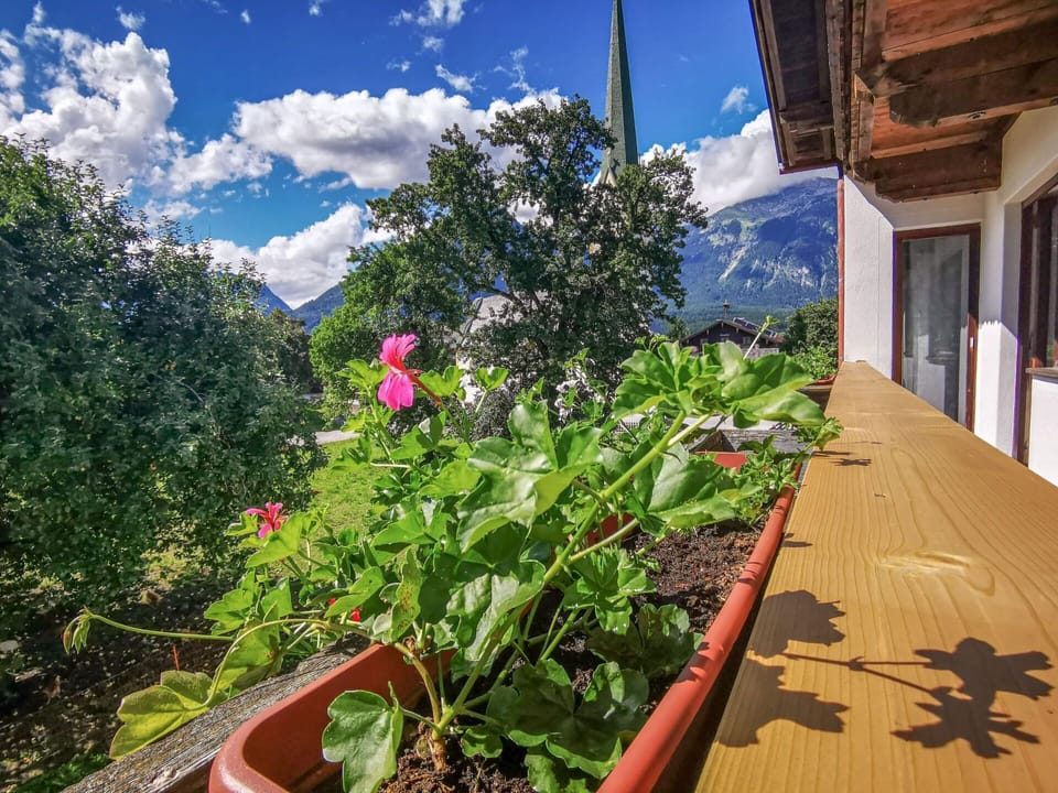 Flower, Cloud, Plant, Sky, Property, Plant Community, Green, Window, Leaf, Blue