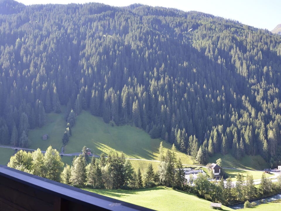 Plant, Ecoregion, Mountain, Tree, Natural Landscape, Sky, Larch, Slope, Highland, Terrain