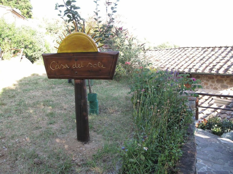 Grass, Font, Plant, Landscape, Yard, Garden, Landscaping