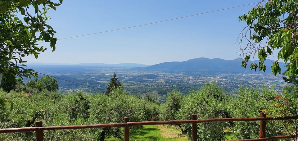 Sky, Plant, Plant Community, Ecoregion, Natural Landscape, Fence, Land Lot, Overhead Power Line, Mountain, Cloud