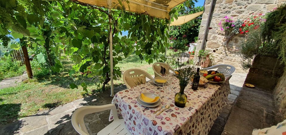 Plant, Property, Table, Botany, Nature, Flower, Landscape, Chair, Outdoor Furniture, Terrestrial Plant