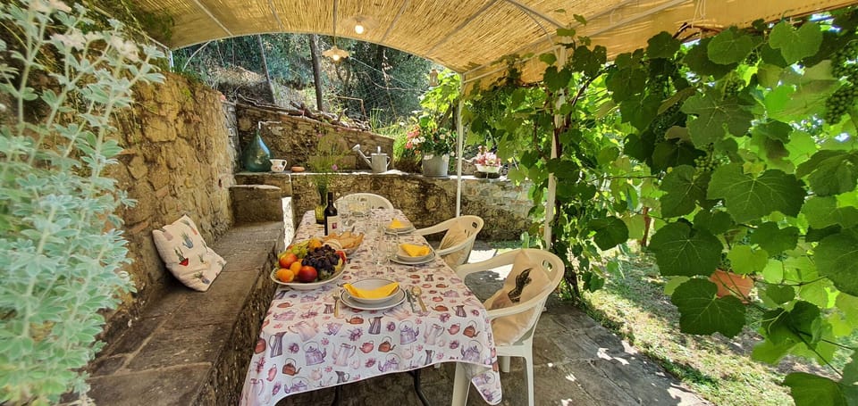 Plant, Table, Chair, Landscape, Outdoor Furniture, Shade, Wood, Outdoor Table, Leisure, Flowerpot