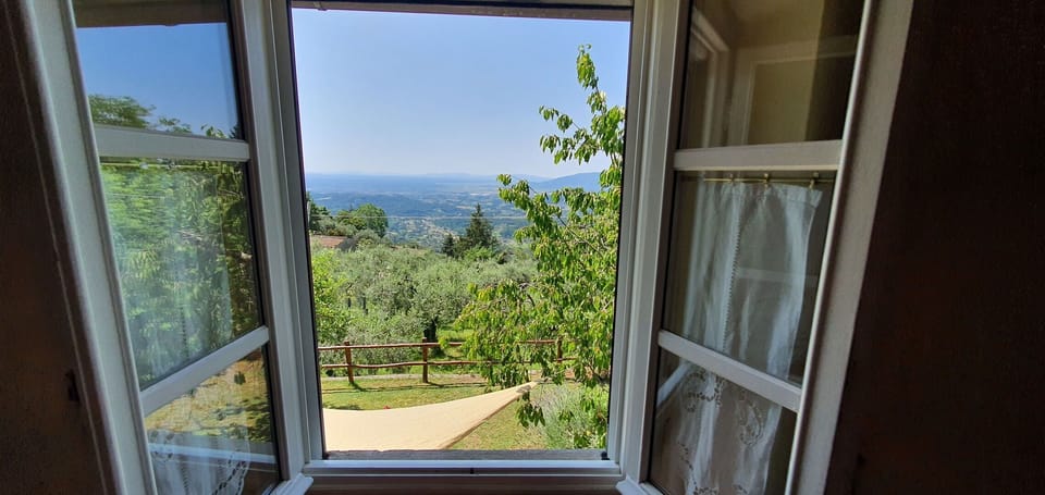 Sky, Property, Leaf, Wood, Shade, Window, Interior Design, Vegetation, Plant
