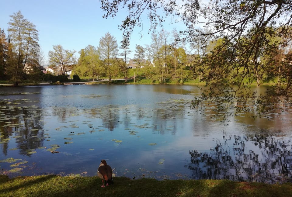 Lake