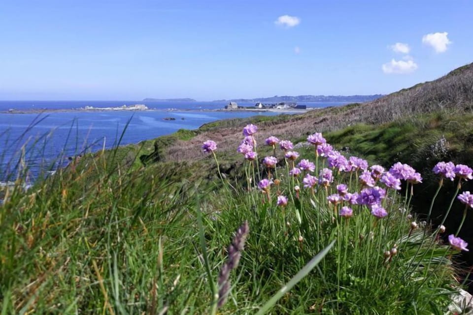 Immediate Surroundings [summer] (<1 km)