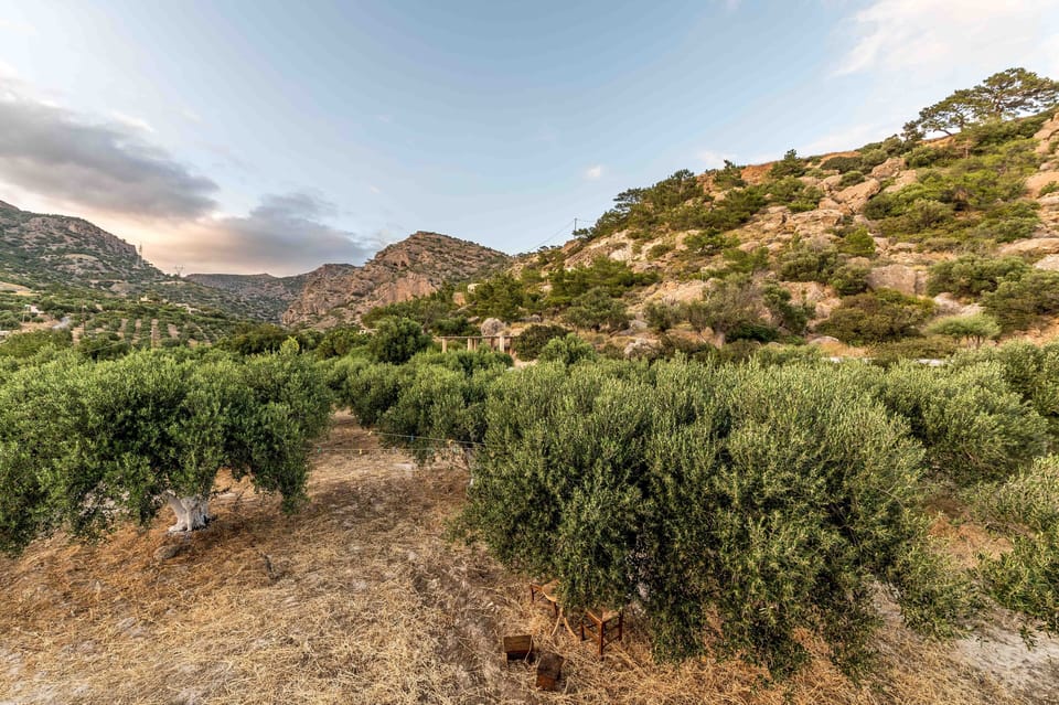 "Natura cottages at Makris Gialos"
Our back side mountain and "Pefki" gorge view