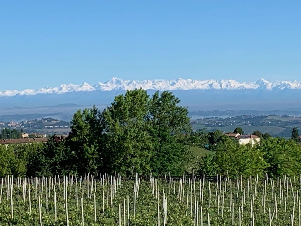 Sky, Plant, Plant Community, Mountain, Ecoregion, Natural Landscape, Nature, Natural Environment, Tree, Highland