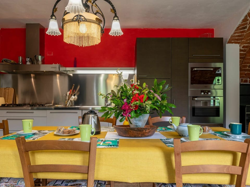 Flower, Cabinetry, Property, Furniture, Countertop, Table, Flowerpot, Plant, Lighting, Orange
