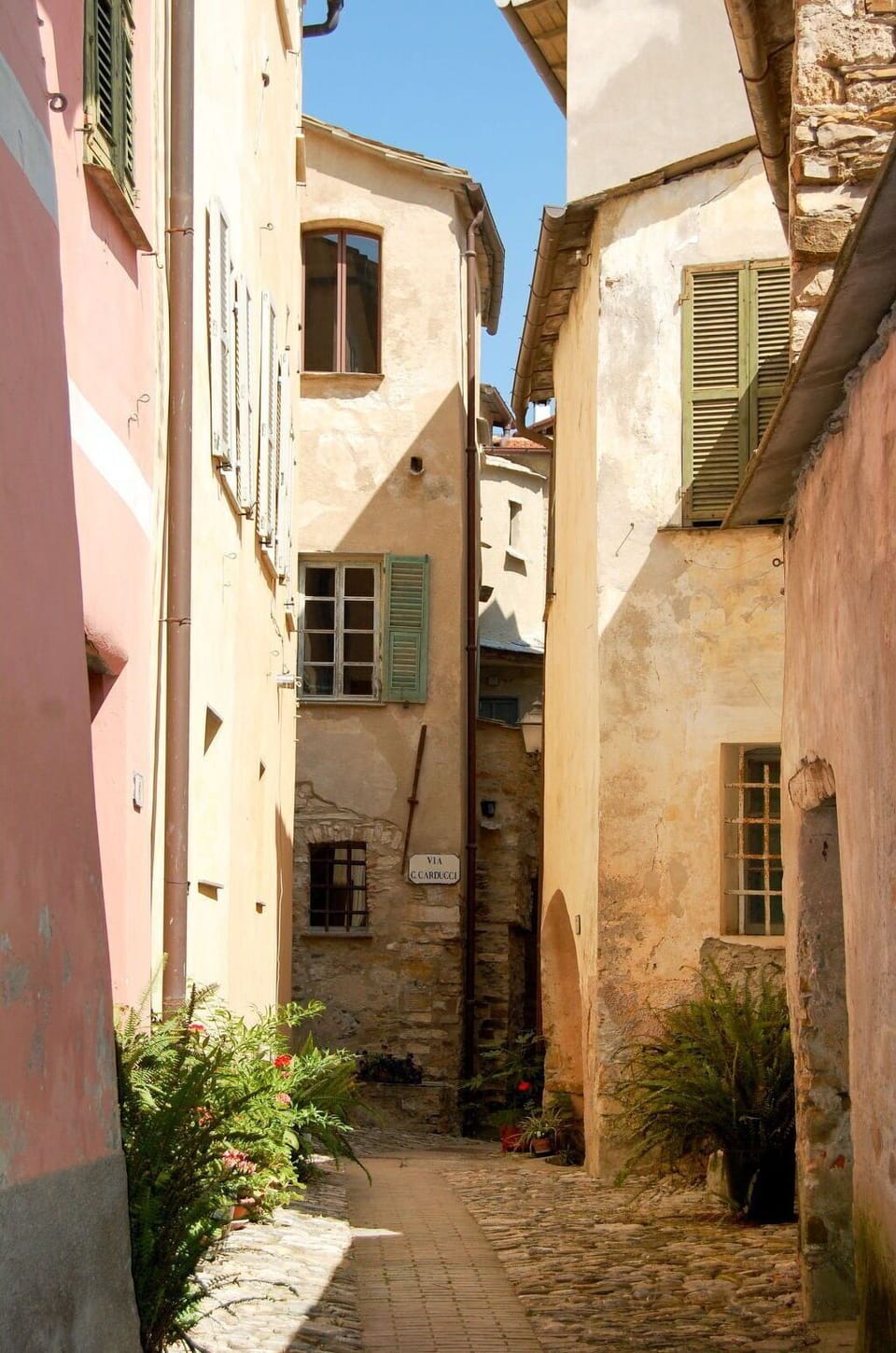 Plant, Window, Building, Sky, Residential Area, House, Road Surface, Flooring, Alley
