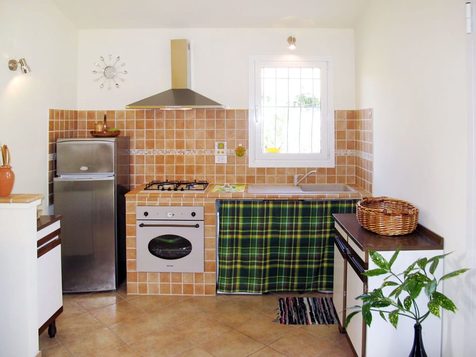 Property, Plant, Laundry Room, Wood, Interior Design, Window, Kitchen Stove, Houseplant, Flooring, Floor