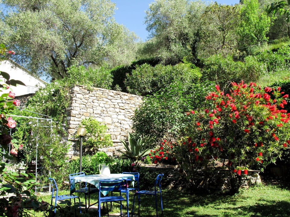 Plant, Flower, Plant Community, Natural Landscape, Building, Sky, Tree, Grass, Vegetation, Biome