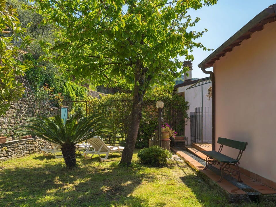 Plant, Building, Shade, Tree, Land Lot, Natural Landscape, Neighbourhood, Grass, Sky, Landscape