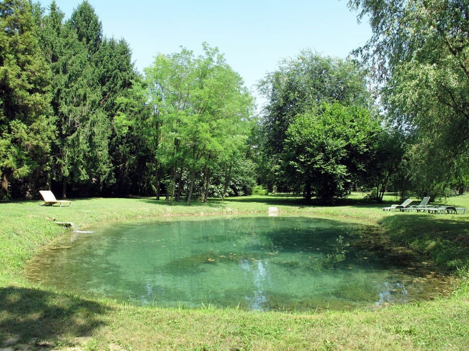 Water, Sky, Water Resources, Plant, Natural Landscape, Tree, Watercourse, Grass, Bank