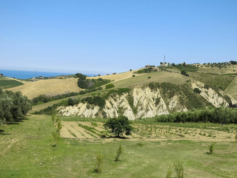 Grassland, Natural Landscape, Hill, Grass, Land Lot, Grass Family, Rural Area, Geology, Pasture, Terrain