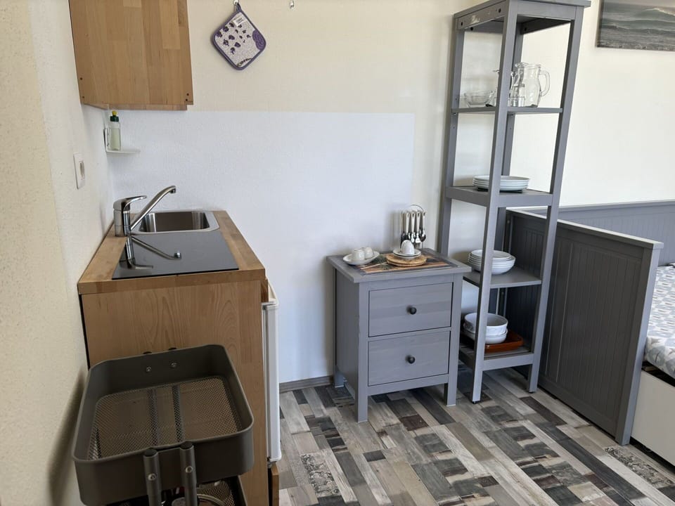 Furniture, Wood, Flooring, Floor, Interior Design, Room, Cabinetry, Kitchen Appliance, Apartment