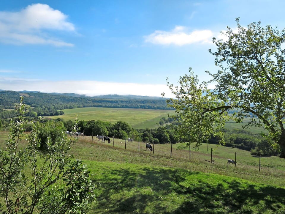 Sky, Cloud, Plant, Plant Community, Ecoregion, Natural Landscape, Natural Environment, Highland, Land Lot, Tree
