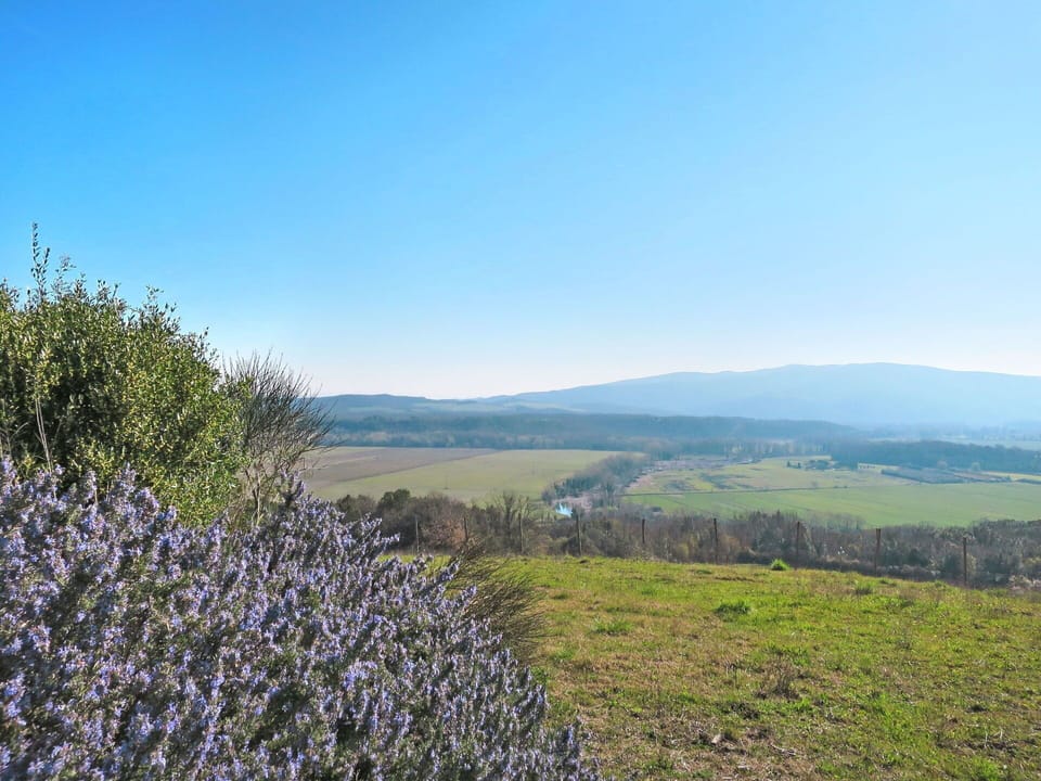 Hill, Vegetation, Natural Landscape, Wilderness, Sky, Chaparral, Fell, Flower, Plant, Spring