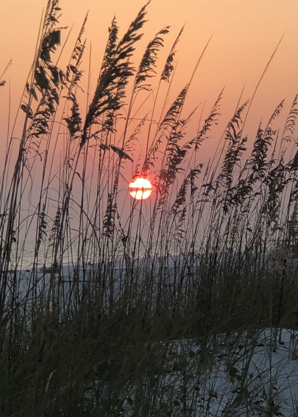 Taken at the foot of our beach walkover😍