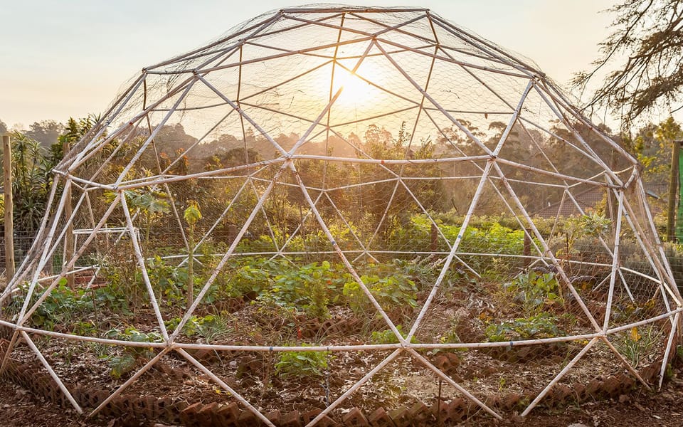 Dome vegetable garden