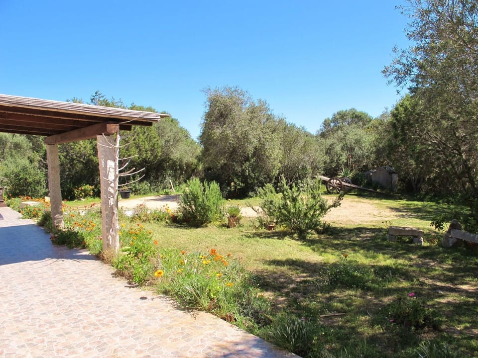 Property, Natural Landscape, Garden, Real Estate, Nature Reserve, Yard, Tree, Grass, Botany, Botanical Garden
