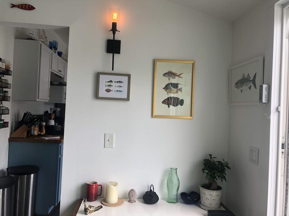 Fish corner