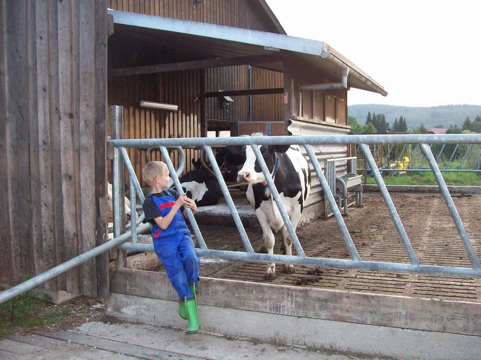 Your vacation farm at the Edersee and the Kellerwald-Edersee National Park! Apartment in Hochsauerlandkreis