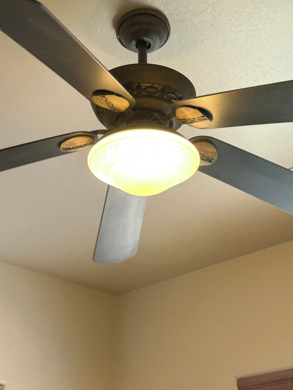 Every bedroom and family room has a ceiling fan and of course AC/furnace.