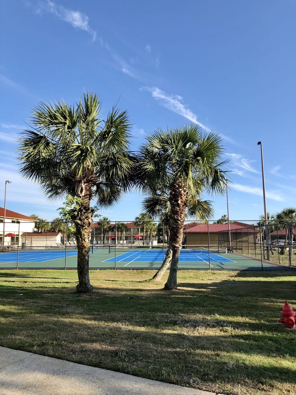 Sport court