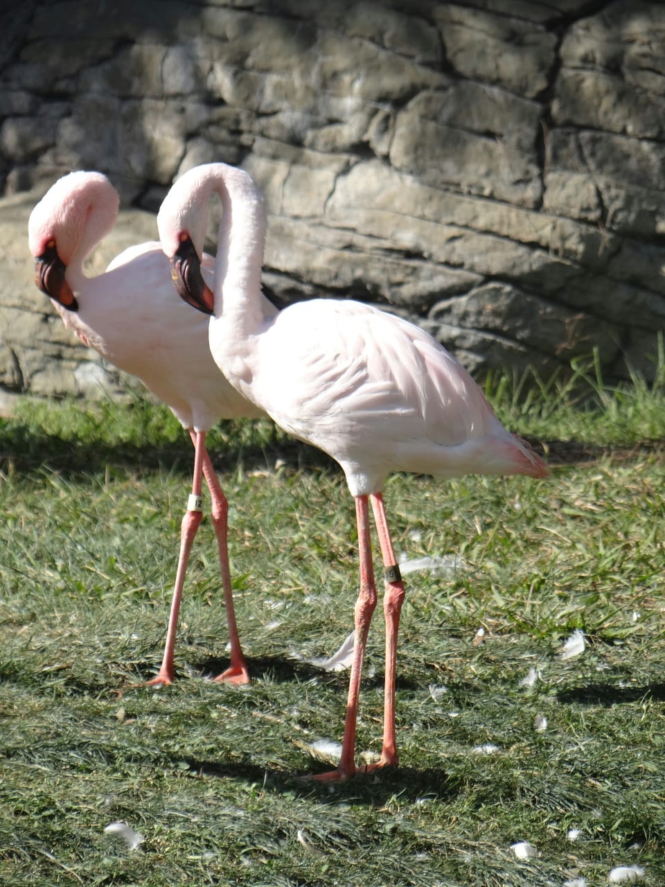 Spend a day at Oakland Zoo!