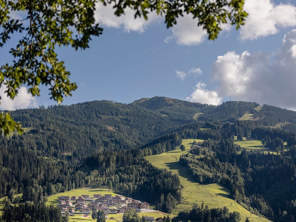 Surroundings [summer] (1-5 km)