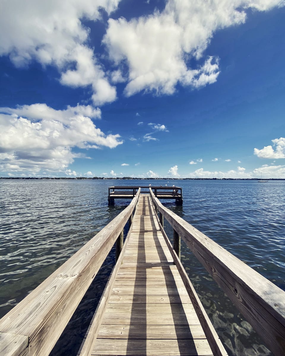 Walk to Valencia Dock