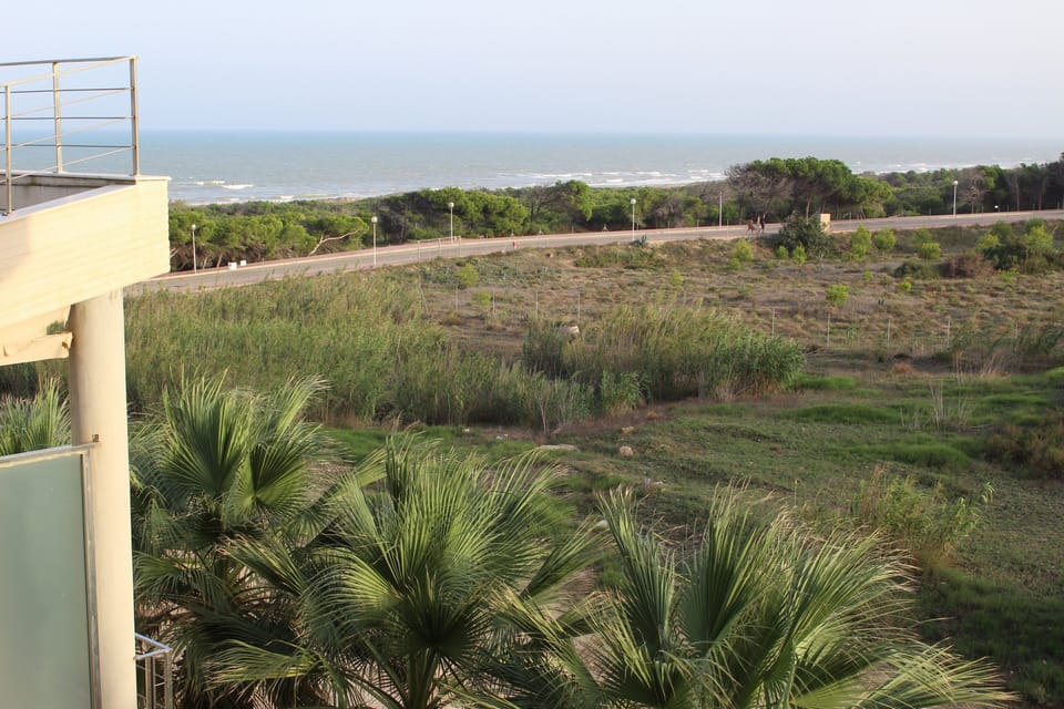 View from property