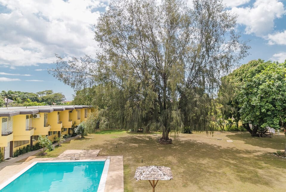Quiet garden yard shaded by a large tree, w/ a glimpse of the pool nearby