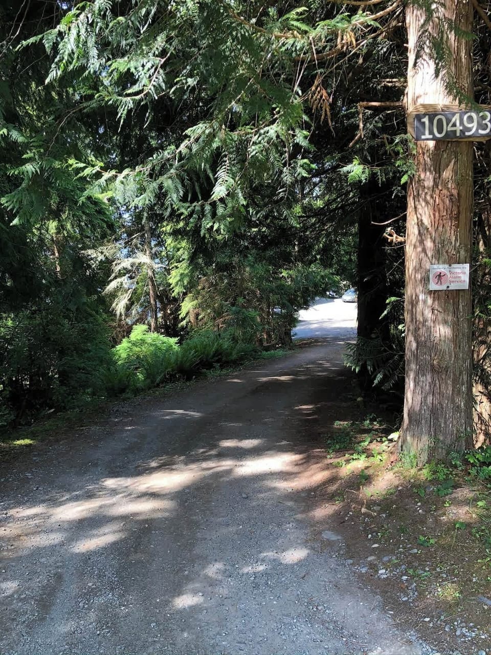 view from road down the driveway