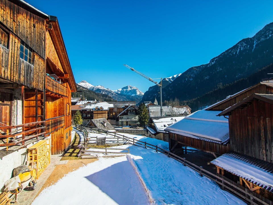 Property, Plant, Sky, Leaf, Wood, Architecture, Vegetation, Biome, Wall, Real Estate