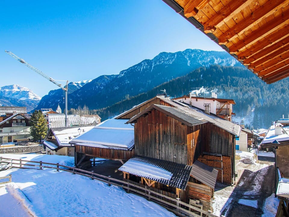 Property, Plant, Sky, Leaf, Wood, Architecture, Vegetation, Biome, Wall, Real Estate