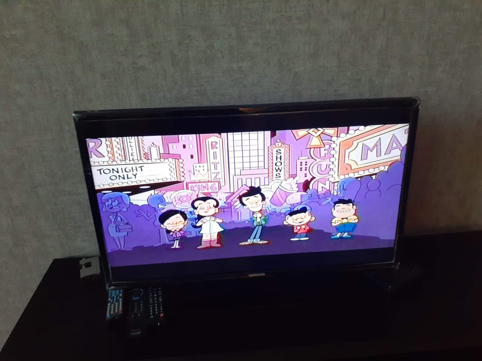 Television