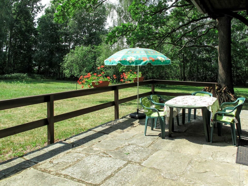 Plant, Furniture, Table, Tree, Umbrella, Shade, Outdoor Furniture, Outdoor Bench, Outdoor Table, Chair