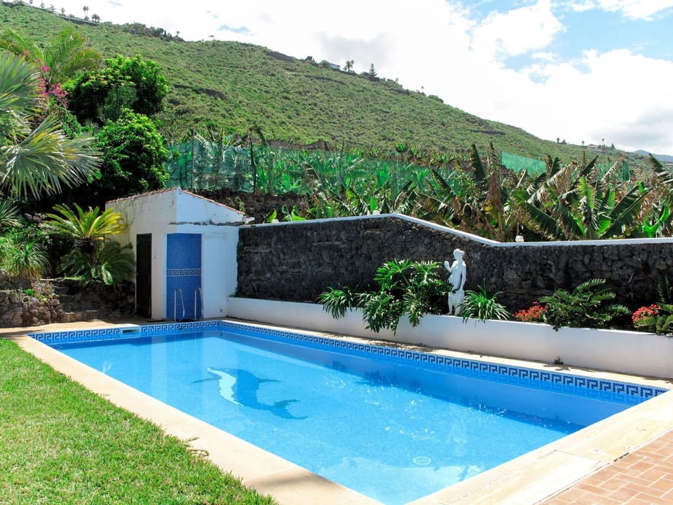 Swimming Pool, Property, Backyard, Leisure, Wall, House, Real Estate, Rectangle, Grass, Tree