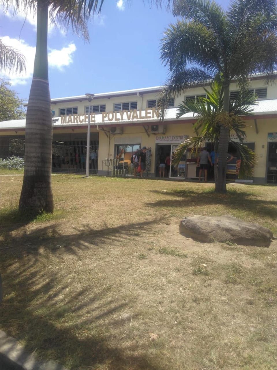 Front view