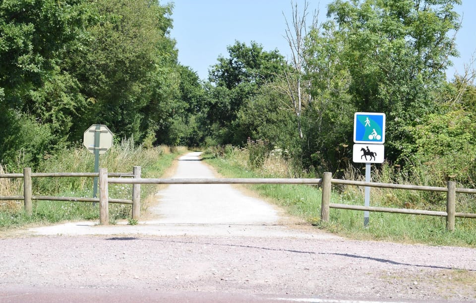 area