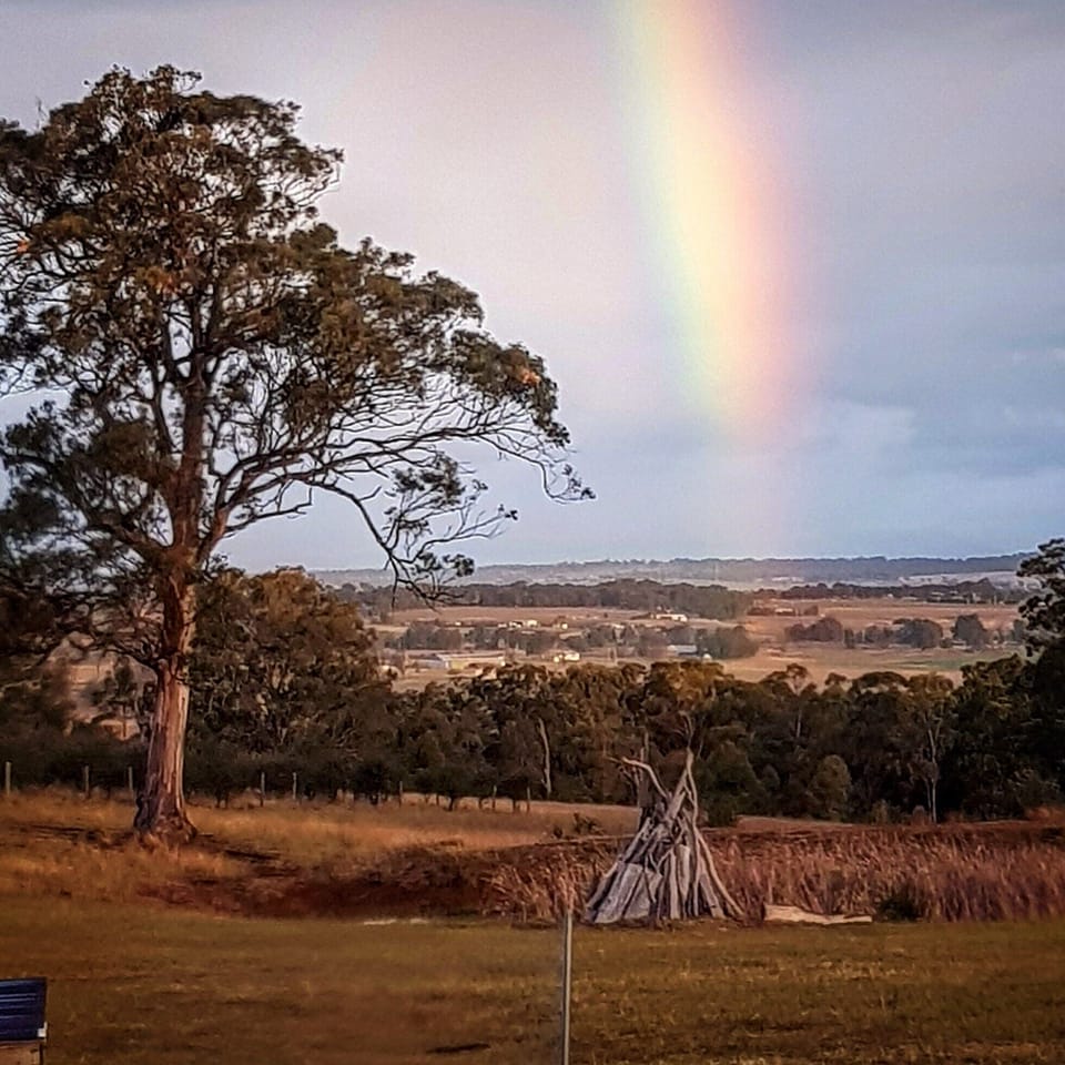 Now... where's that pot of gold??