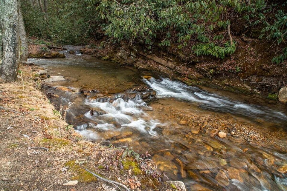 Creek behind cabin, sounds great